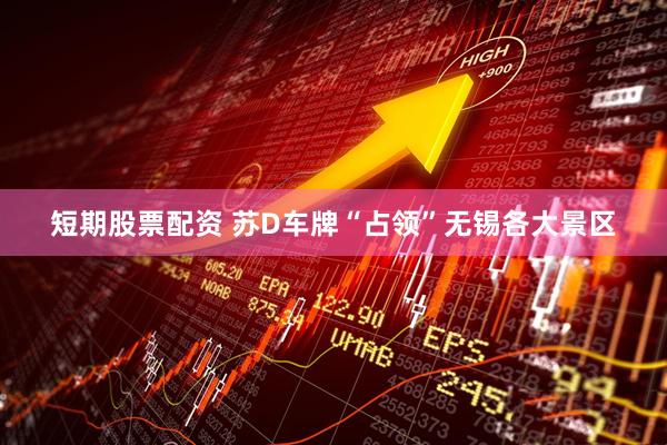 短期股票配资 苏D车牌“占领”无锡各大景区