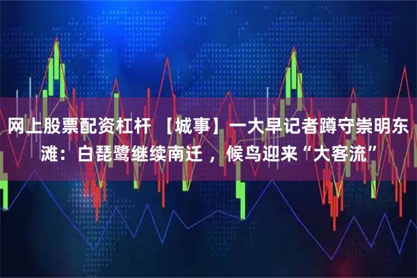 网上股票配资杠杆 【城事】一大早记者蹲守崇明东滩:白琵鹭继续南迁 ,候鸟迎来“大客流”